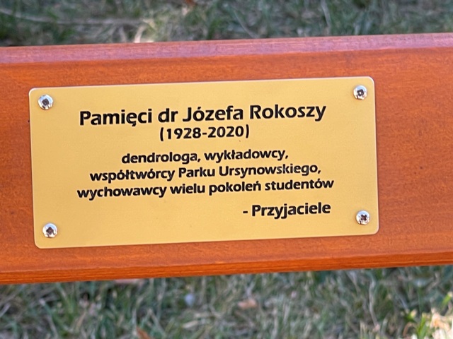 Ławeczka dr Józefa Rokoszy